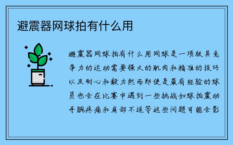 避震器网球拍有什么用