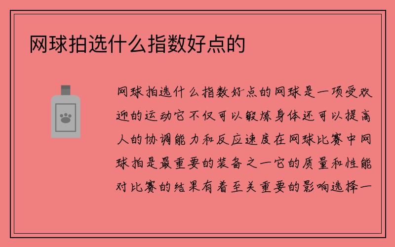 网球拍选什么指数好点的